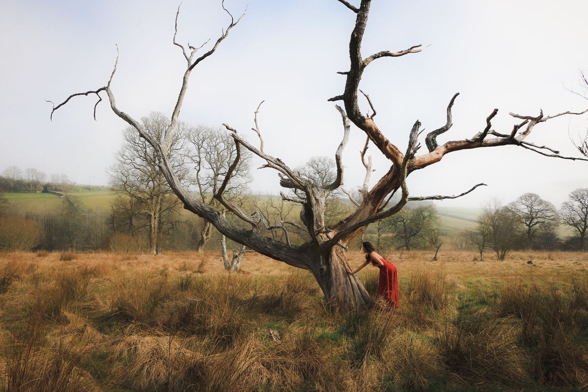 Primal Rising: Yoga, Shamanism, Healings, Scottish Borders