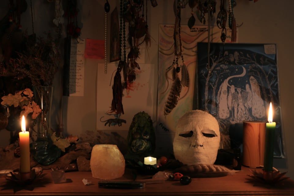 Explore Our Resources: Engaging Media & Insightful Service Detail